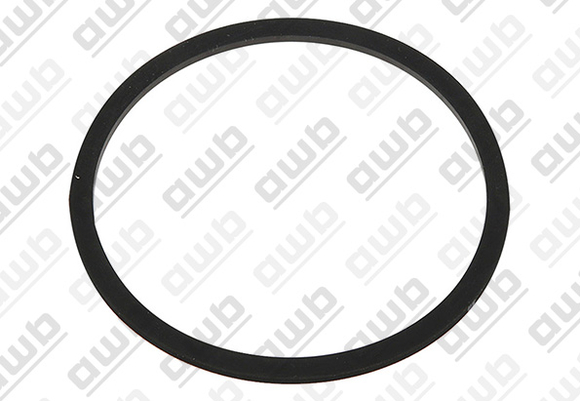 AWB o-ring 0020221829 tbv Thermomaster 0 - afb. 1