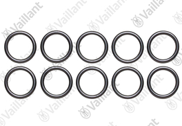 O-RING (A 10 STUKS) 981176