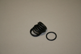 O-RING AANV. DN A10ST 73450S