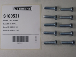 Remeha bout M8x30 (10stuks) S100531