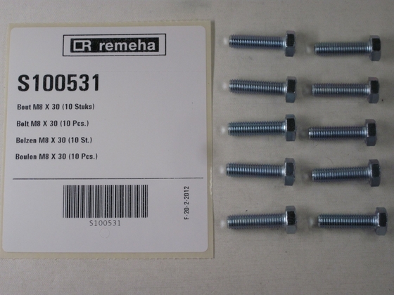 Remeha bout M8x30 (10stuks) S100531 - afb. 1