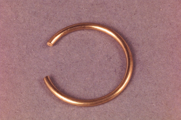 VEERRING 18067 - afb. 1